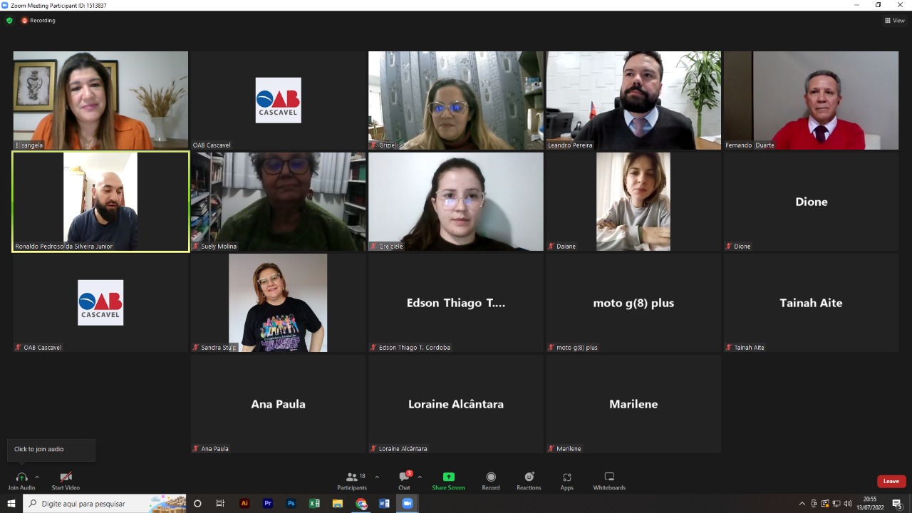 Reunião virtual discute o bloqueio de senhas dos advogados no INSS